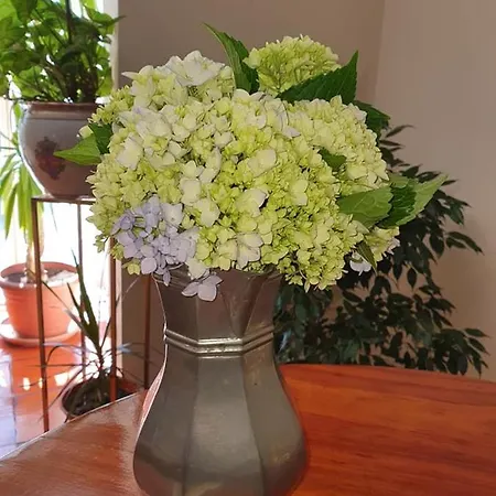 Do Cerrado Hotel Lamego