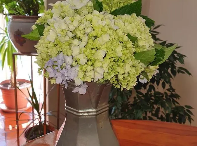 Do Cerrado Hotel Lamego