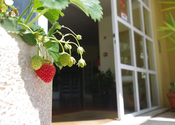 מלון Do Cerrado למאגו